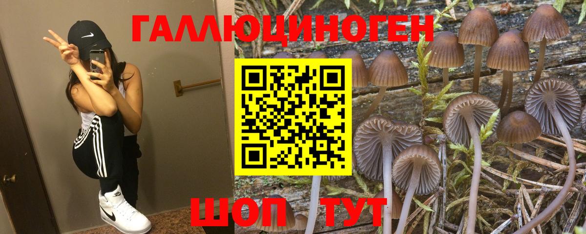 Псилоцибиновые грибы GOLDEN TEACHER Гусиноозёрск
