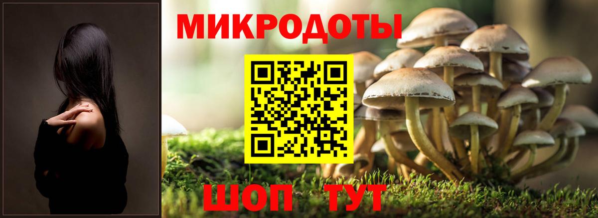 Гусиноозёрск  Псилоцибиновые грибы MAGIC MUSHROOMS  Вход с VPN 